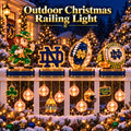 Premium NDFI Outdoor Christmas Railing Ligh TTMH